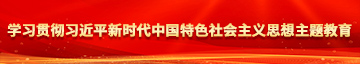 男抽插到女逼太禁的网站学习贯彻习近平新时代中国特色社会主义思想主题教育